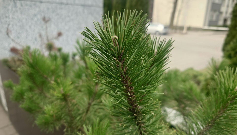 Input image: image_static_photorealistic_verdant_landscape_0028